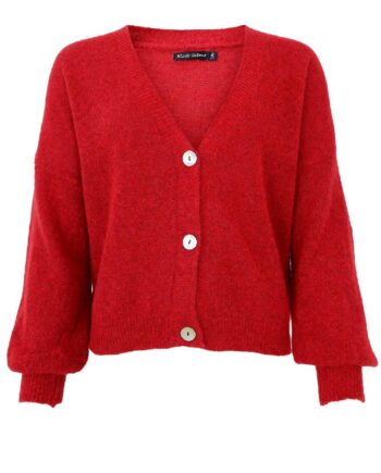 Black Colour Cardigan Dell Red