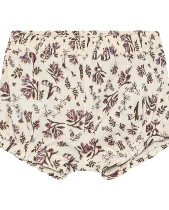 Bloomers Eggnog 74