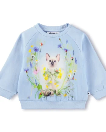 Disc Sweater Meadow Kitten 98