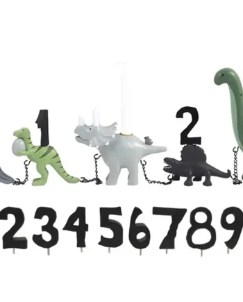Fødselsdagstog  Dinosaur    11 Tal