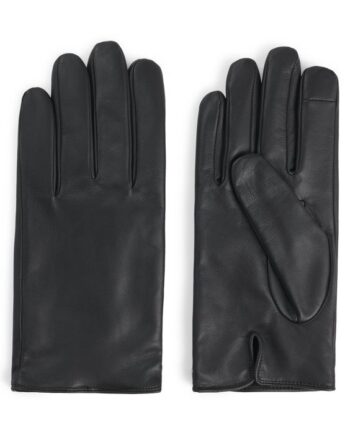 Glove 10265472 01