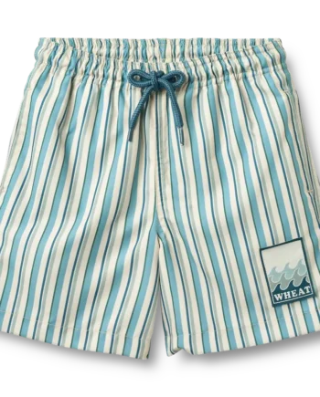 Hansi Badge Badeshorts Aqua Stripe 92