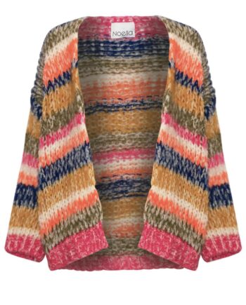 Noella Cardigan Krissa Tundra Stripe