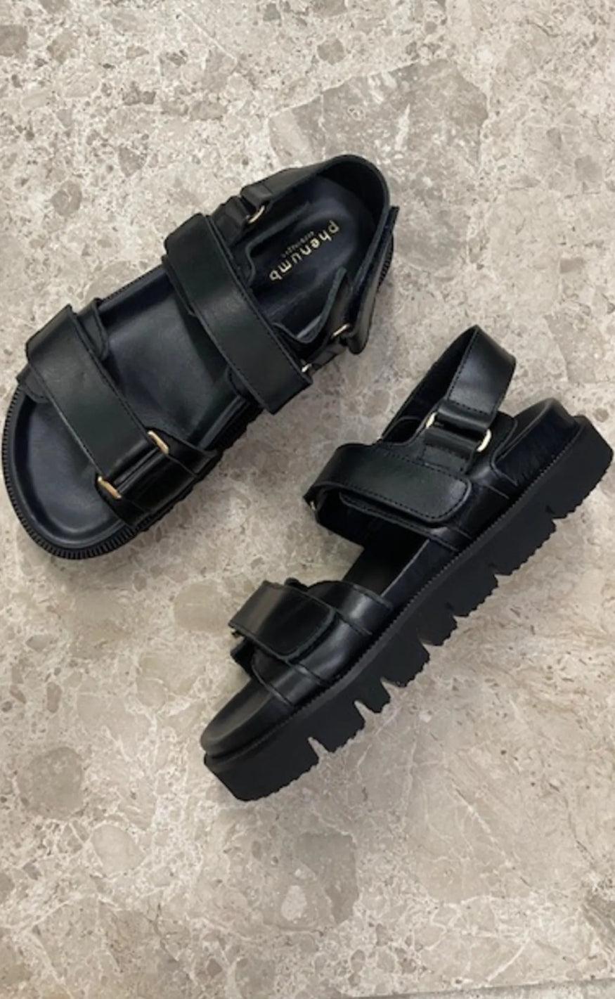 Phenumb Sandaler Odele Black