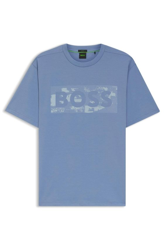 Ts Globe Logopattern 10278673