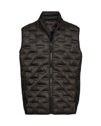 Waistcoat Regular Fit