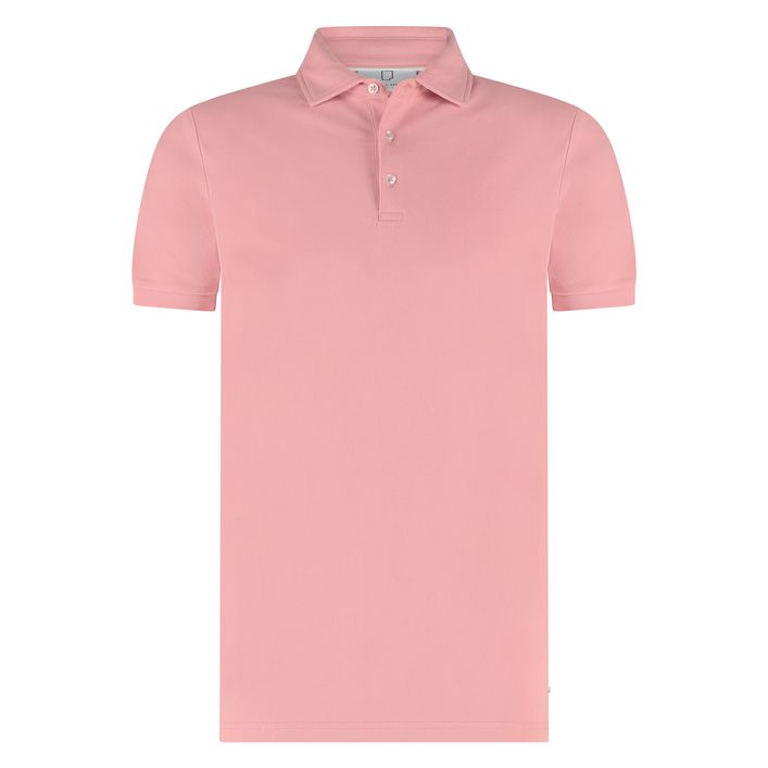 Arto Polo