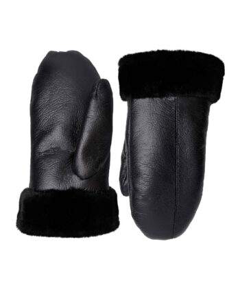 Black Colour Vanter Tian Black