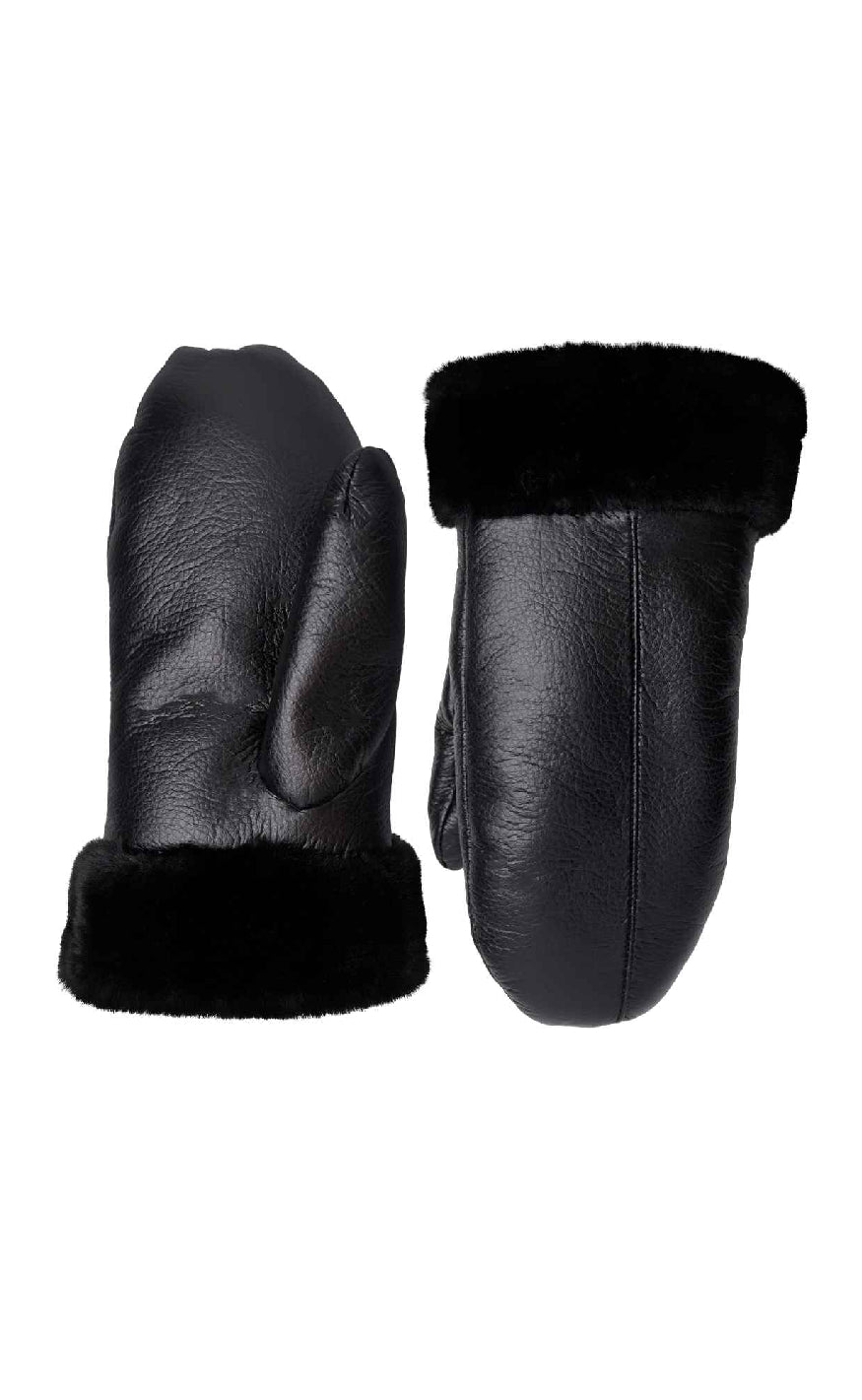 Black Colour Vanter Tian Black