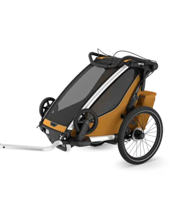 Chariot Sport   Single Natural Gold