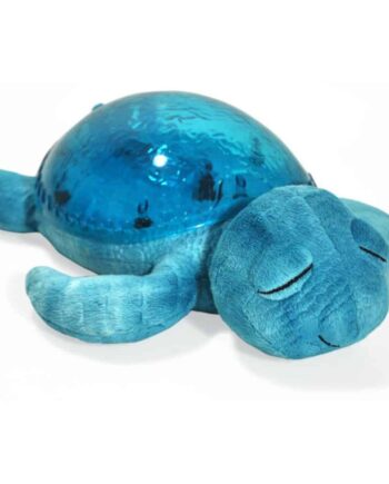 Cloud   Tranquil Turtle Aqua