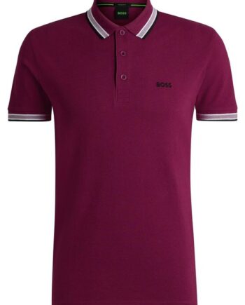 Paddy Curved 10241663 01