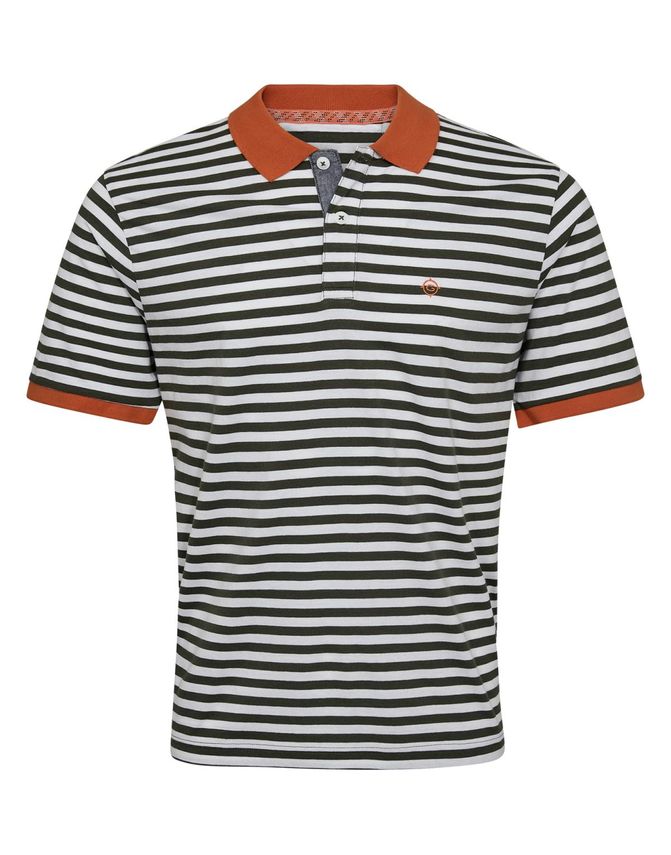 Polo Regular Fit