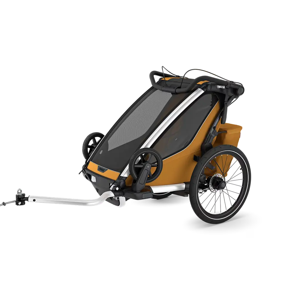 Chariot Sport Single Natural Gold