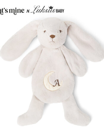 That Apos   Mine Texas Heavy Teddy Stor Bunny